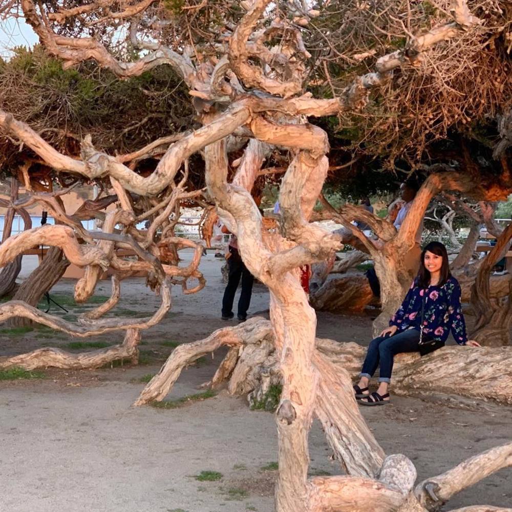 Meet your Posher, Tasnim